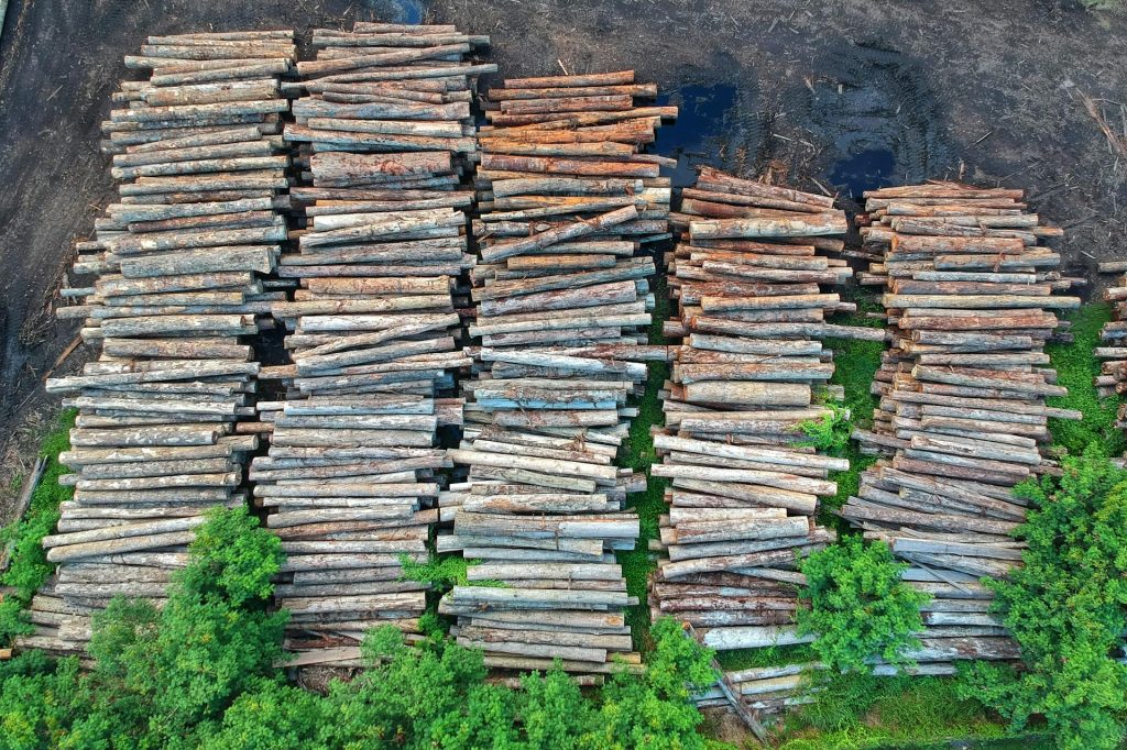 Stacked lumber. The photo is titled "Birds Eye View of Lumbers" and highlights the human rights consequences of land confiscation and environmental devastation. Photo is credited to Pok Rie and is used under the Pexels License.