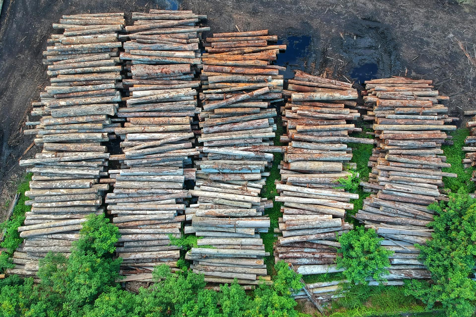 Stacked lumber. The photo is titled "Birds Eye View of Lumbers" and highlights the human rights consequences of land confiscation and environmental devastation. Photo is credited to Pok Rie and is used under the Pexels License.