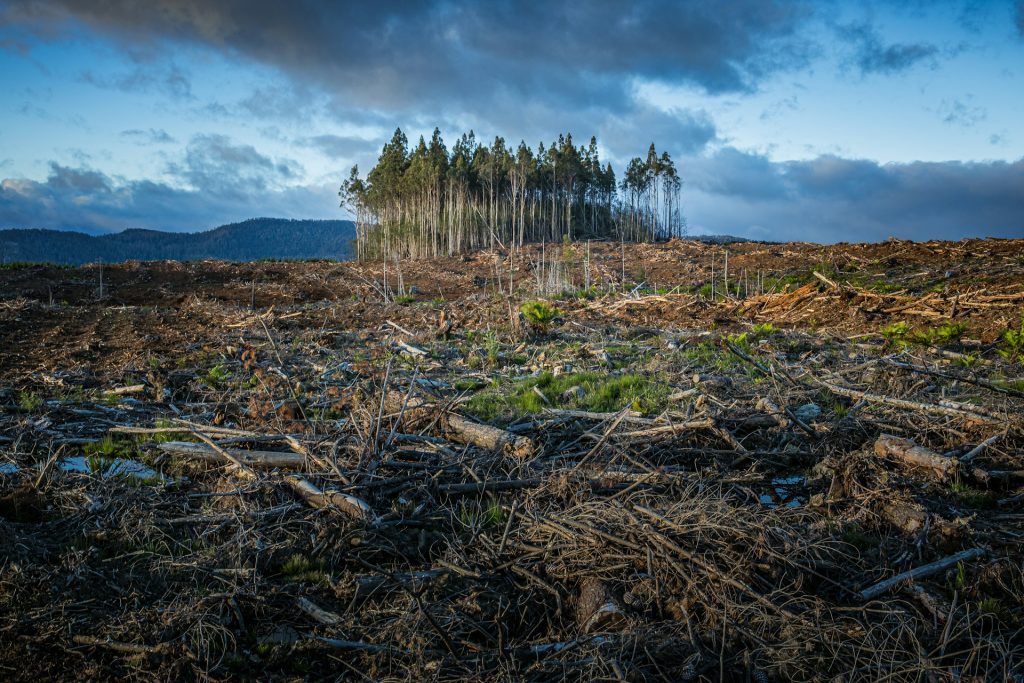 brown and green grass field near body of water under cloudy sky during daytime care work and the climate emergency